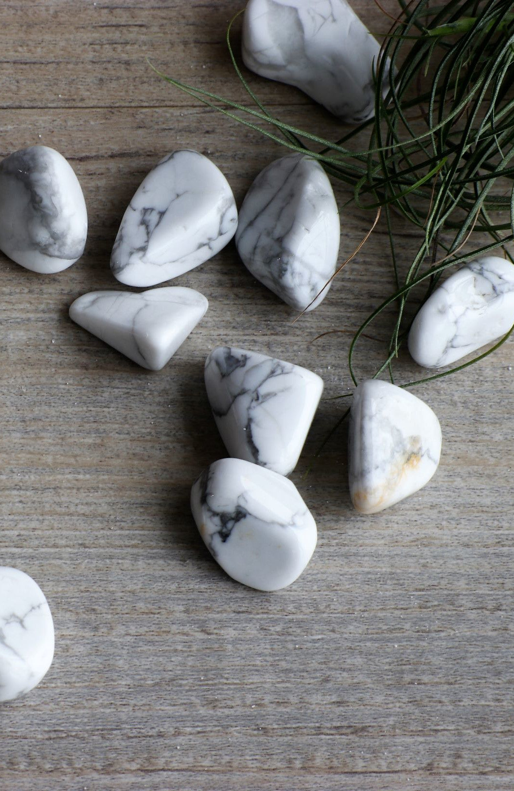 White Howlite Tumbled Stone